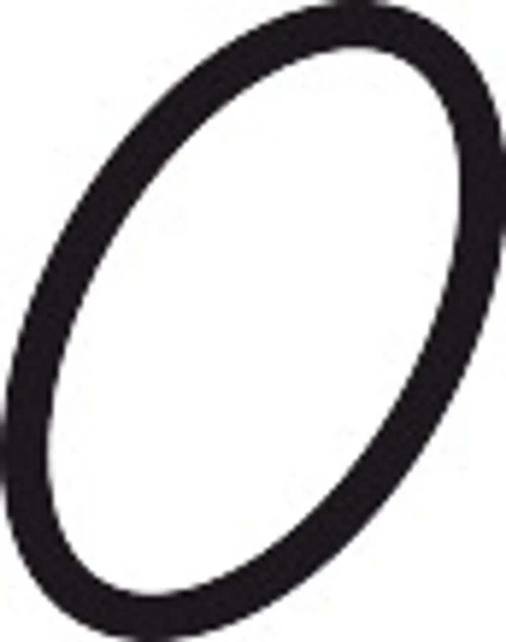 Schwarzer O-Ring aus Gummi in kreisförmigem Design. Verwendung in Sanitärinstallationen, möglicherweise von der Marke Hansgrohe.